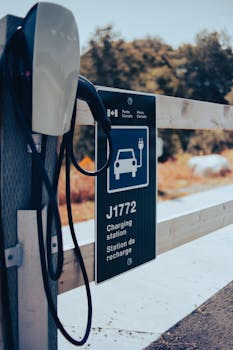 Electric vehicle charging station with scenic background and clear signage.